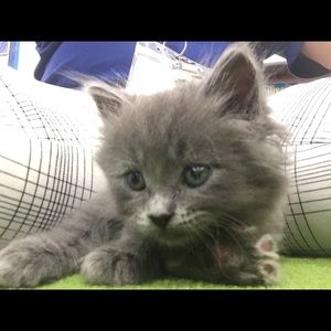 Meet your Posher, Erin